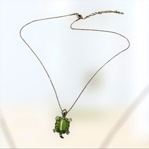Turtle Pendant Necklace